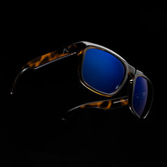 81's Havana (Gloss)
